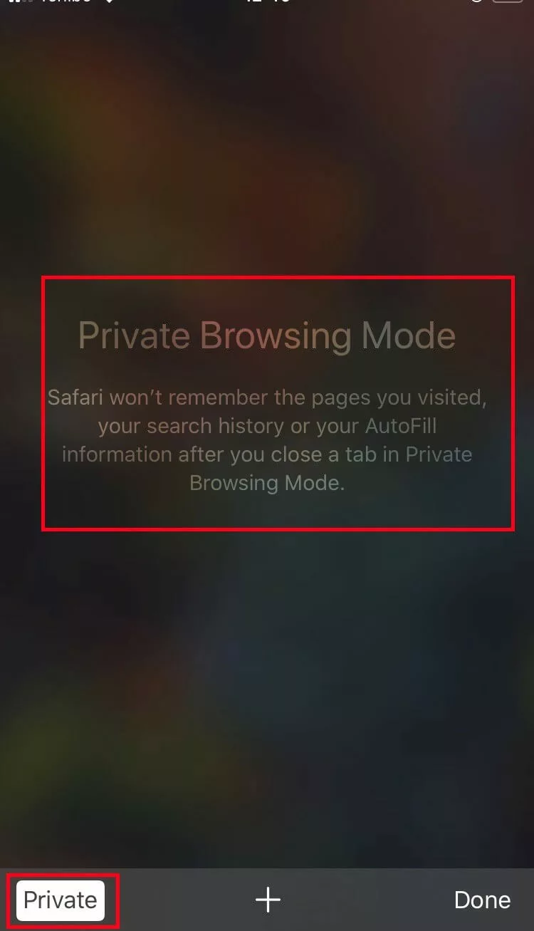 Image: Private surf mode by Safari on iPhone