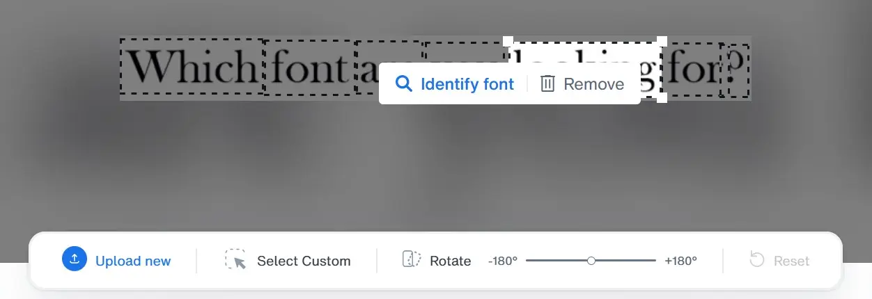 Image: Cropping in the web app
