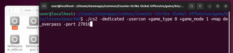 Enter CS2 server startup command Enter CS2 server startup command