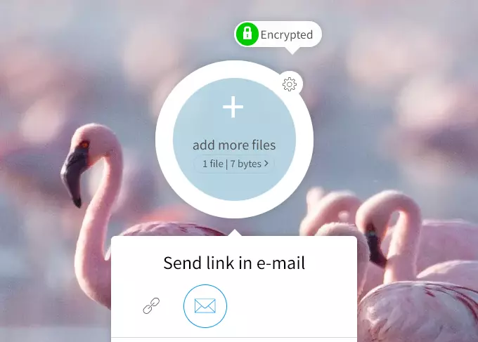 The file host TransferXL Image: The file host TransferXL