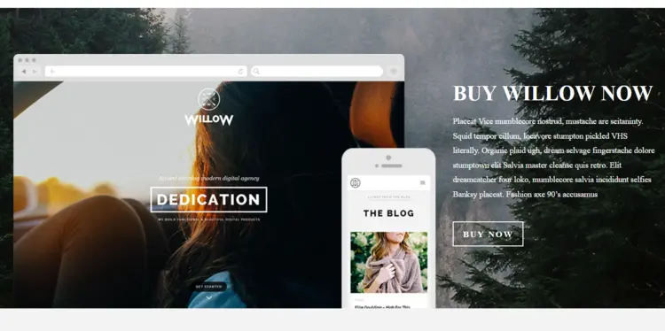 Screenshot of the Willow one pager Screenshot of the Willow one pager