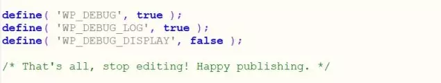 Image: Screenshot of a manual WordPress debug