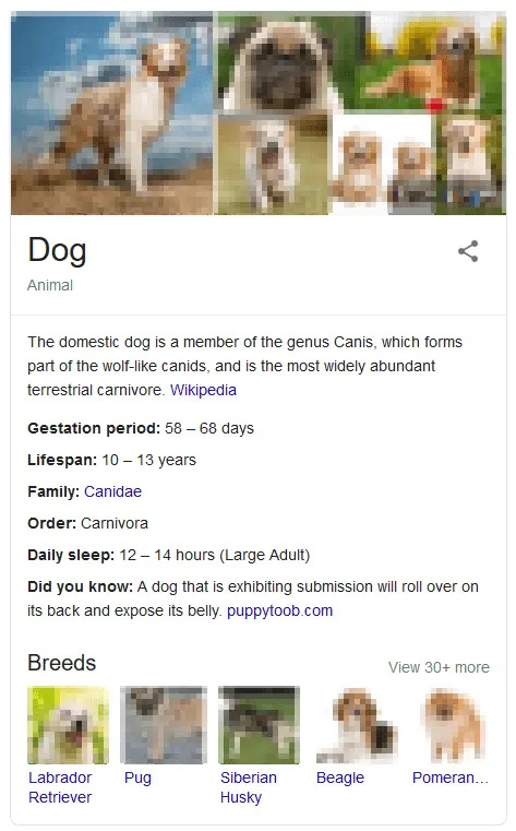 The knowledge panel of the Knowledge Graph The knowledge panel of the Knowledge Graph