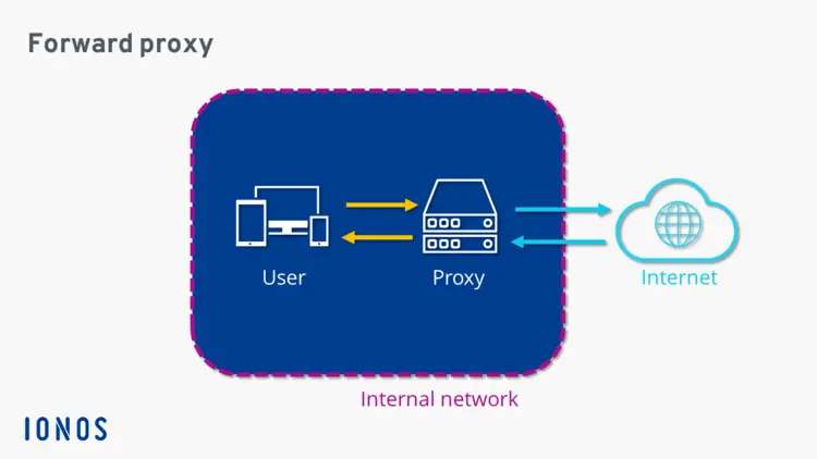 Schematic representation of a forward proxy Schematic representation of a forward proxy