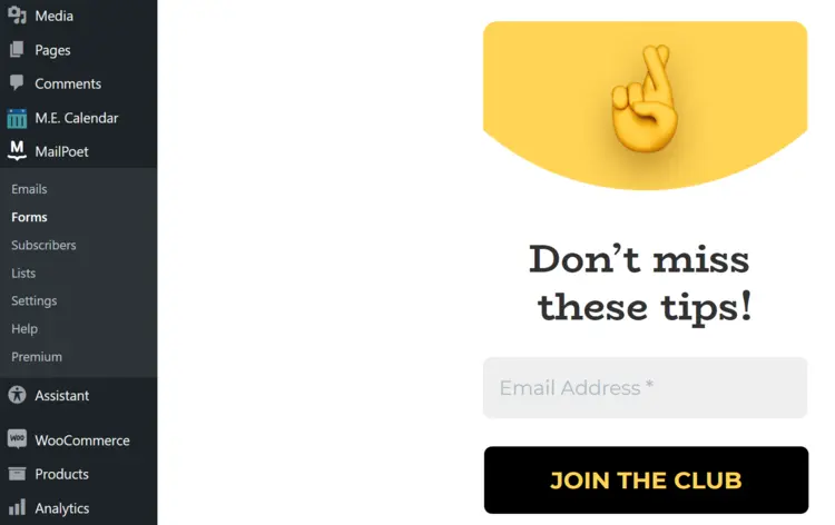 Newsletter editor by MailPoet in WordPress Newsletter editor by MailPoet in WordPress