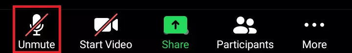 Image: Tap the microphone icon if it is set to mute
