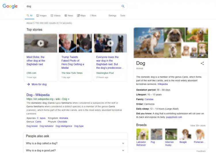 Google’s Knowledge Graph for the search query “dog” Google’s Knowledge Graph for the search query “dog”