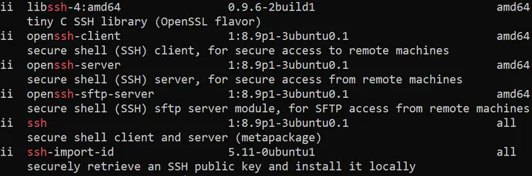 Terminal: Installed OpenSSH package Terminal: Installed OpenSSH package