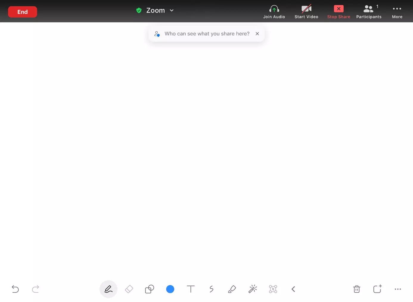 Image: Blank Zoom whiteboard in the iPad app
