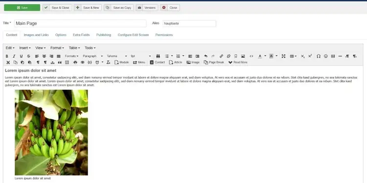 Joomla! article with sample image Joomla! article with sample image