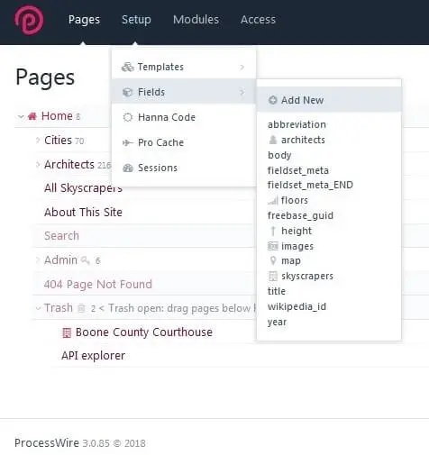 ProcessWire: menu for adding a new field ProcessWire: menu for adding a new field
