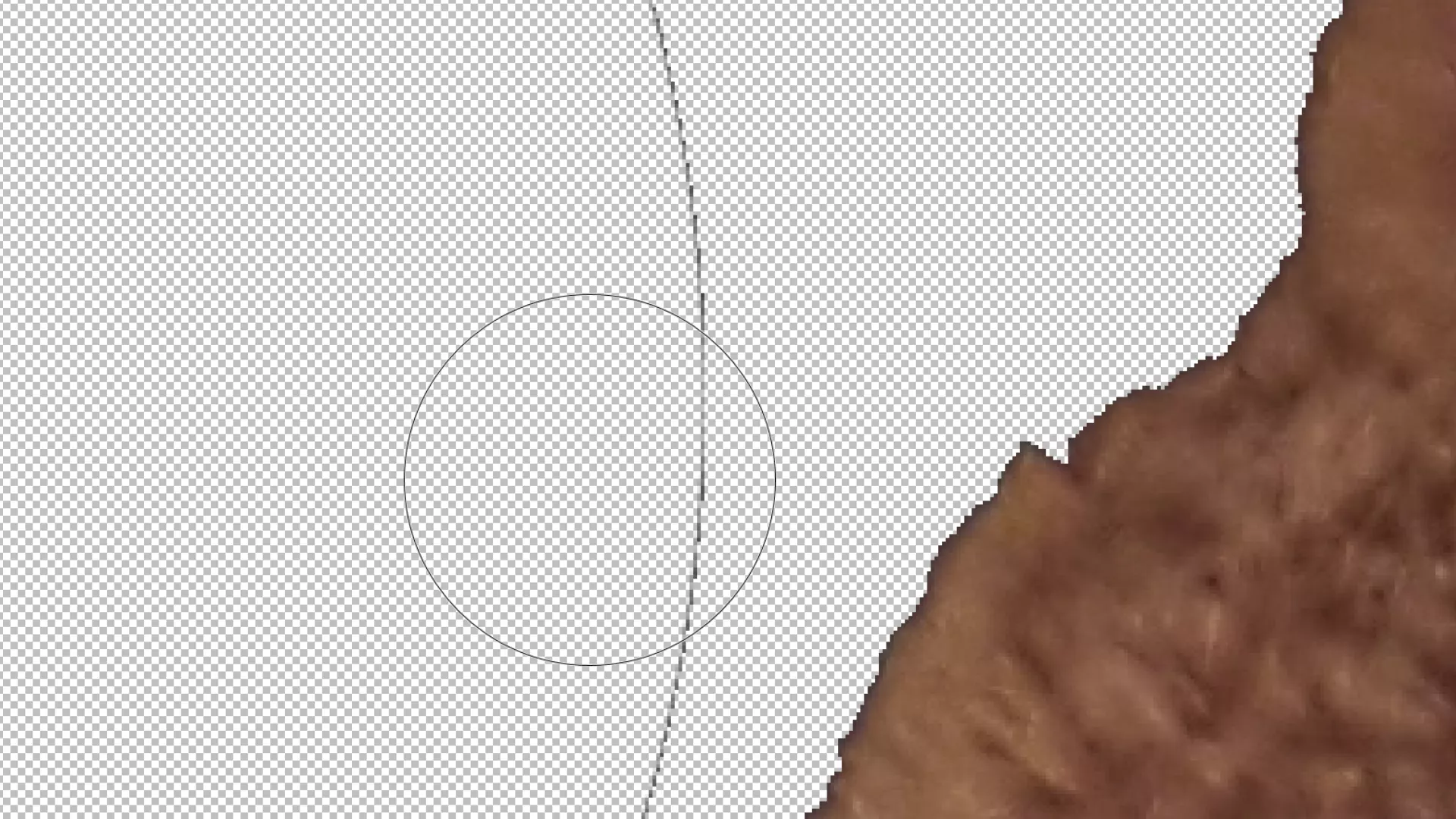Image: Paint.NET: unwanted pixels missed by the magic wand tool
