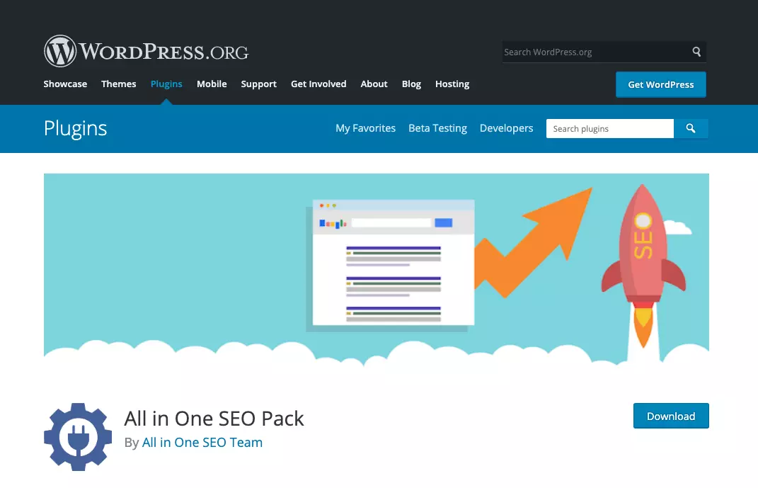 Image: All in One SEO Pack plug-in, available from WordPress.org