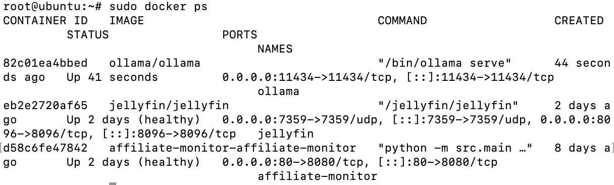 Output of docker ps showing the Ollama container Image: Output of docker ps showing the Ollama container