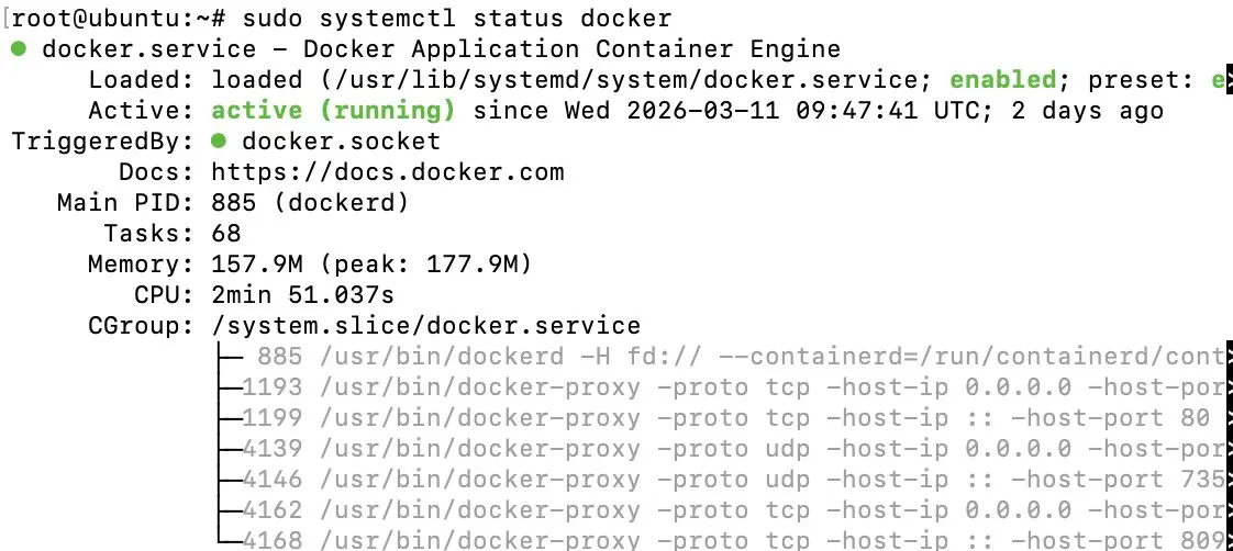 Status display of Docker on your Ollama server Image: Status display of Docker on your Ollama server