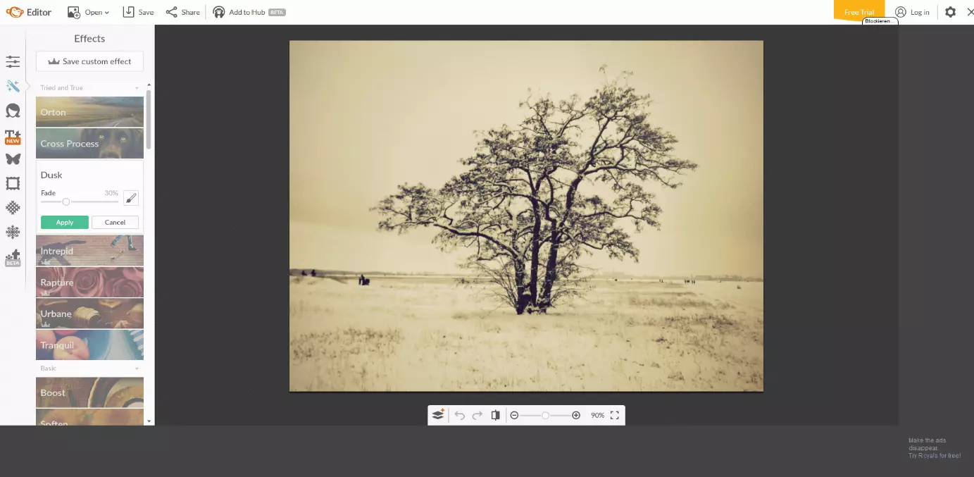 Image: Screenshot of the online tool PicMonkey