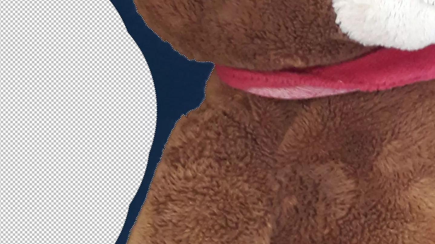 Image: Paint.NET: “magic wand” tool in use