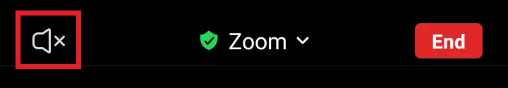 Image: Check that the Zoom speaker is activated and no X is visible
