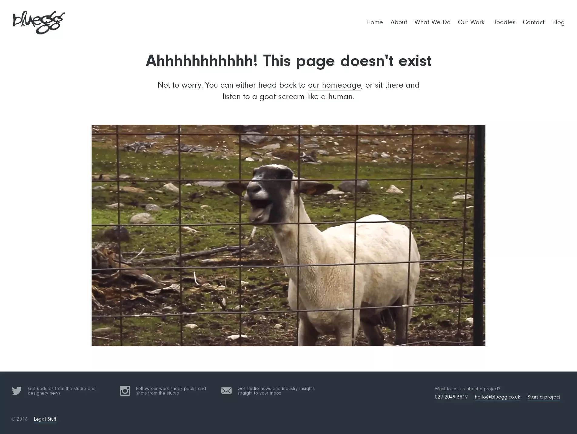 Image: 404 page for Bluegg