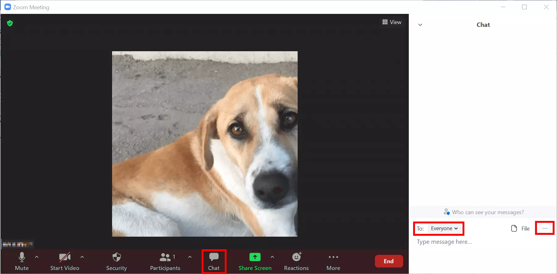 Image: Zoom meeting with active chat function