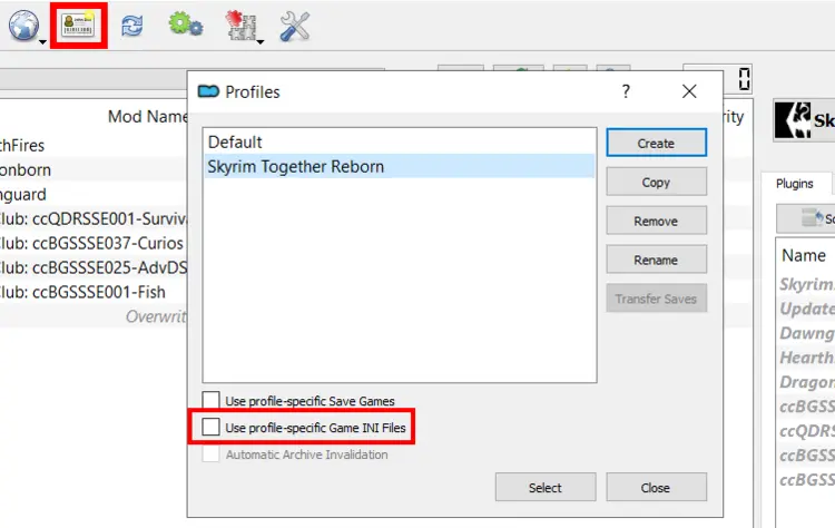 configure-skyrim-together-profile-mo2.PNG