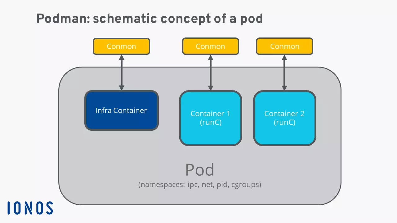 Image: Graphic: Pod structure