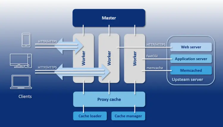 Schematic representation of the NGINX architecture Schematic representation of the NGINX architecture
