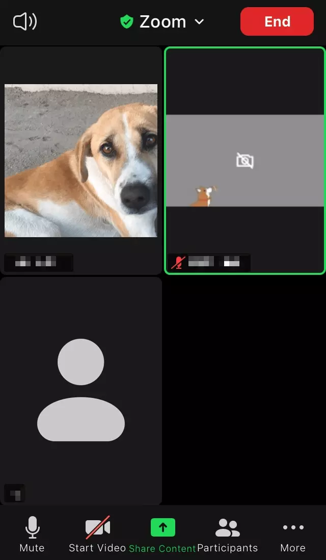 Gallery view on Zoom mobile app Image: Gallery view on Zoom mobile app