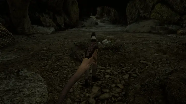 Screenshot of the beginning of Path of Titans as an Alioramus hatchling Screenshot of the beginning of Path of Titans as an Alioramus hatchling