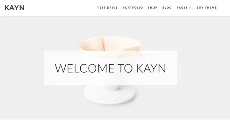 WordPress template “Kayn” by WP-Royal WordPress template “Kayn” by WP-Royal