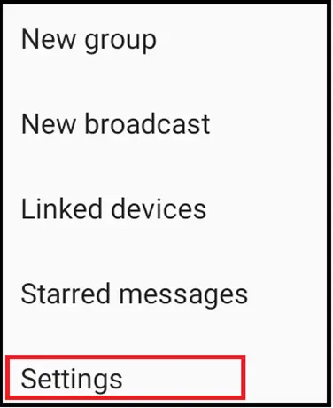 WhatsApp menu “Settings” in “Options” WhatsApp menu “Settings” in “Options”