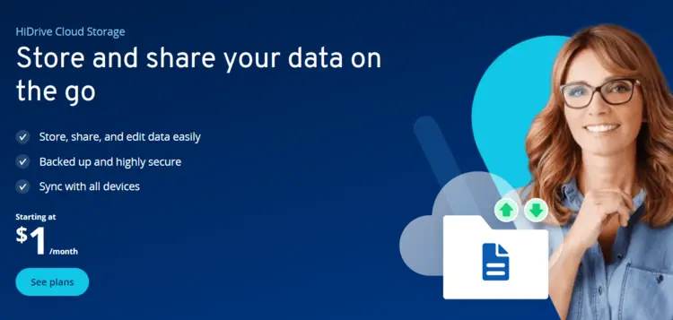 Website of HiDrive Cloud Storage solution from IONOS Website of HiDrive Cloud Storage solution from IONOS