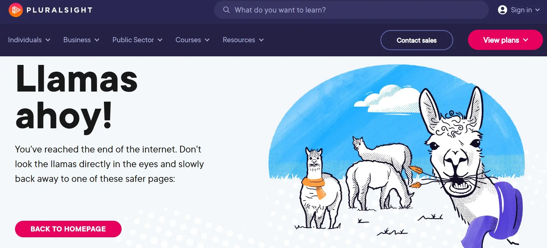 Image: 404 page of Pluralsight