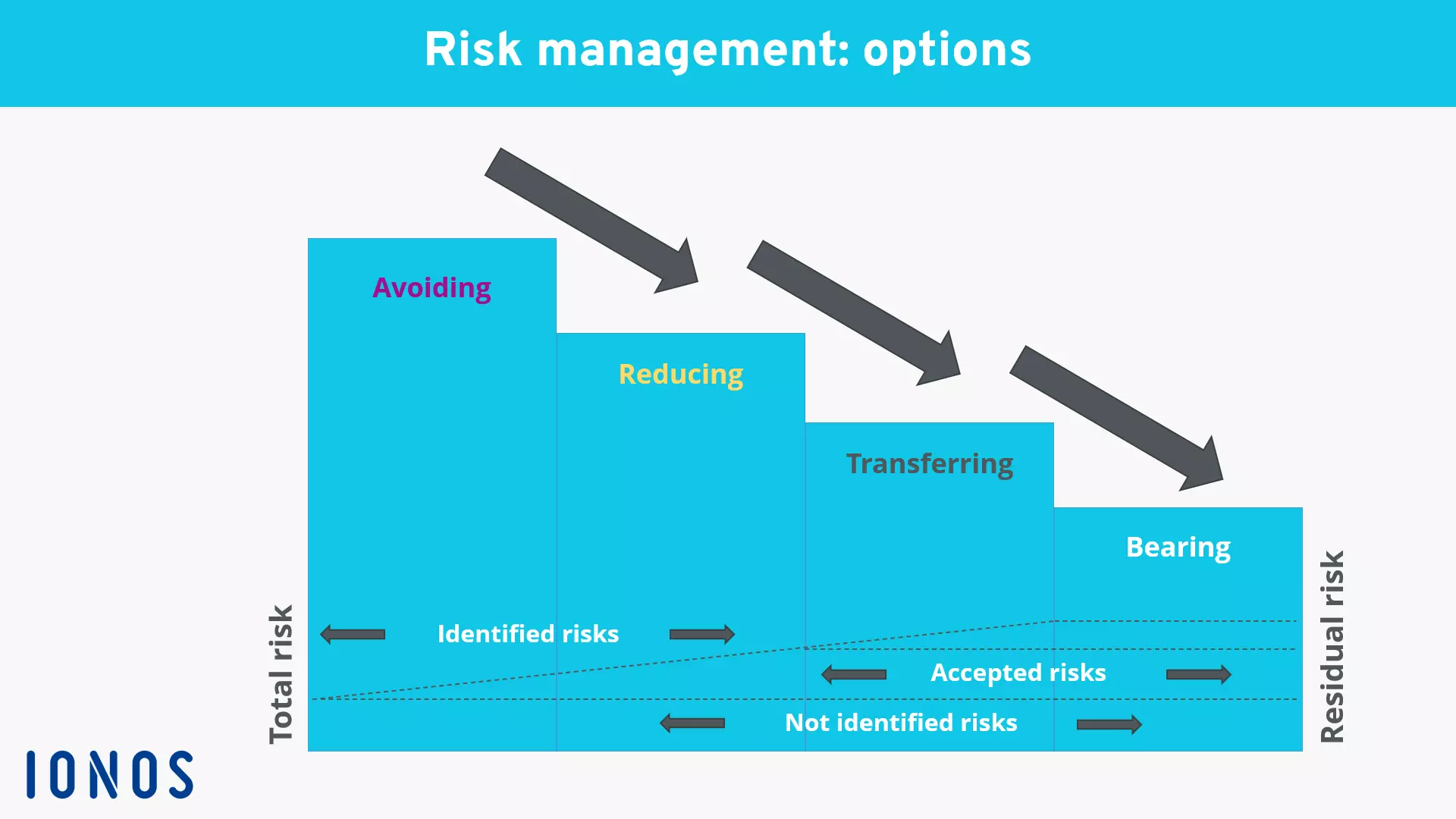 Image: risk-management-options.png
