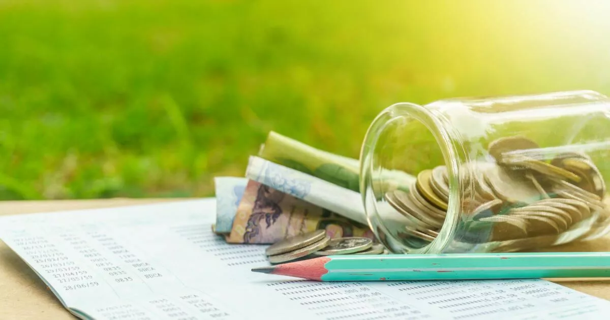 Image: Profit and loss statement (P&L)