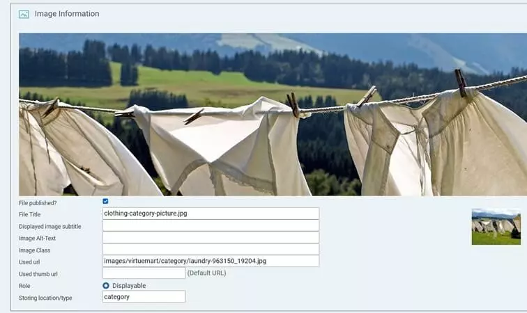 VirtueMart Joomla store: Define image information for category picture