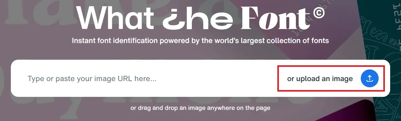 Image: Upload box on the web app