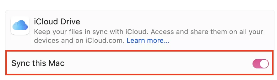 Image: iCloud Drive: Settings within the “Apple Account” section