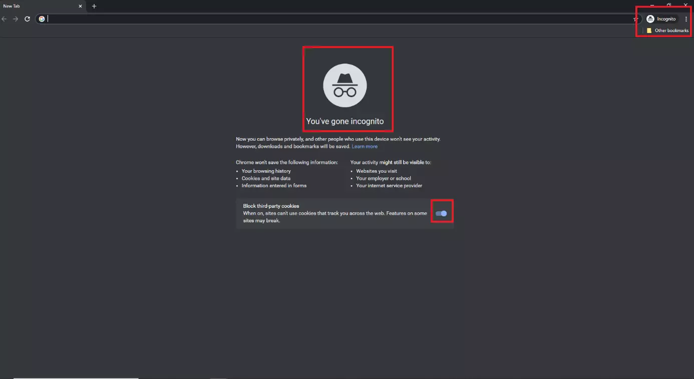 Image: Google Chrome browser window in incognito mode
