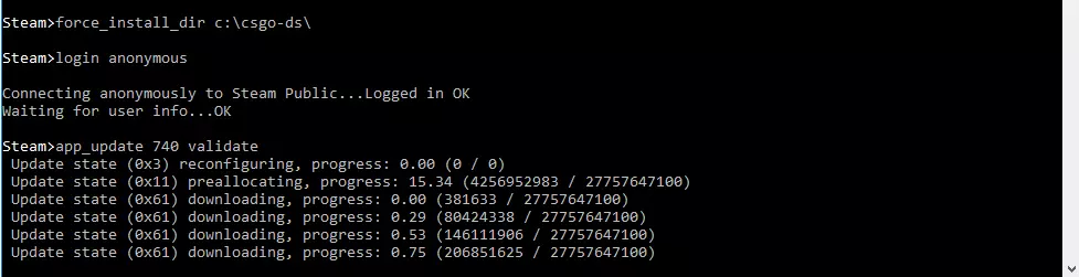 Image: Installing the CS:GO Dedicated Server via the “Steam>” input line