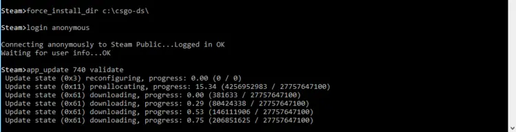 Installing the CS:GO Dedicated Server via the “Steam>” input line Installing the CS:GO Dedicated Server via the “Steam>” input line