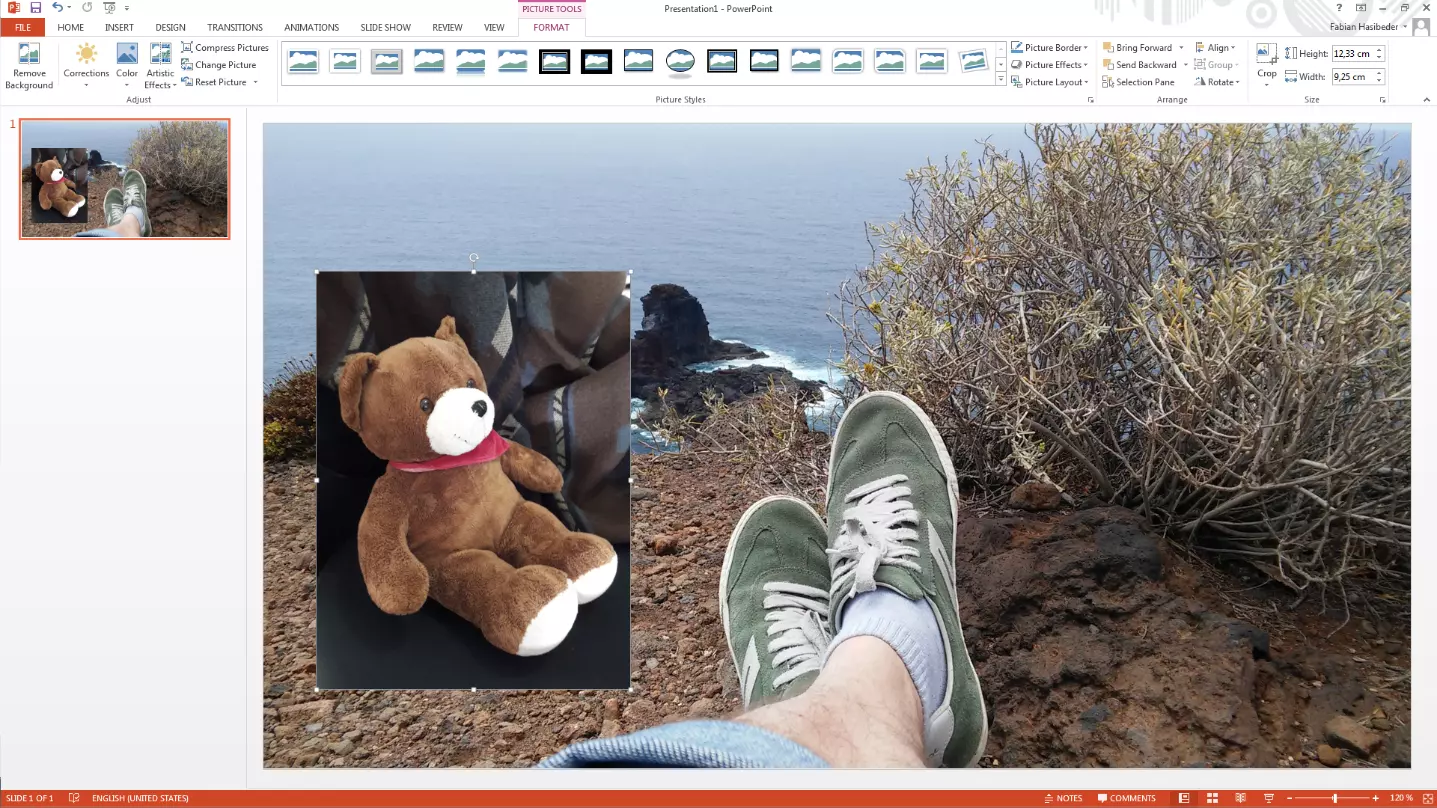 Image: Object to be cropped in PowerPoint
