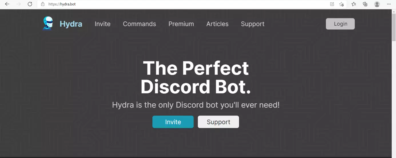 Image: Open the website for the bot you want to add