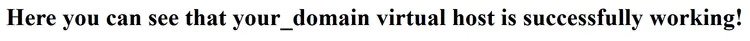 Web browser: Example page for a virtual host Web browser: Example page for a virtual host