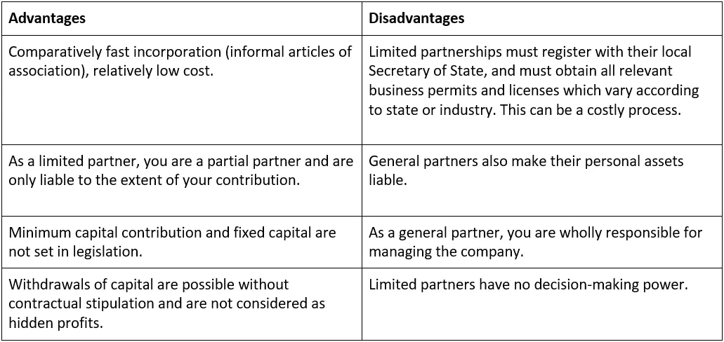 Image: EN-limited-partnership-advantages-disadvantages.png
