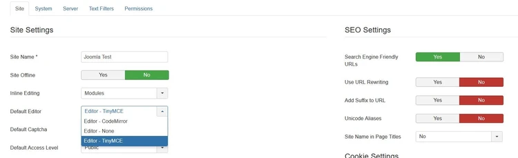 “Site” tab in the Joomla! global menu “Site” tab in the Joomla! global menu