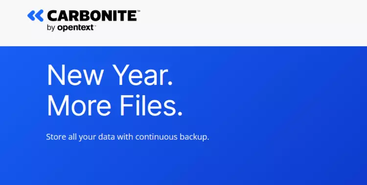 Homepage of Carbonite website Homepage of Carbonite website