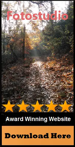 Example of an advertising banner with reference to an award Example of an advertising banner with reference to an award