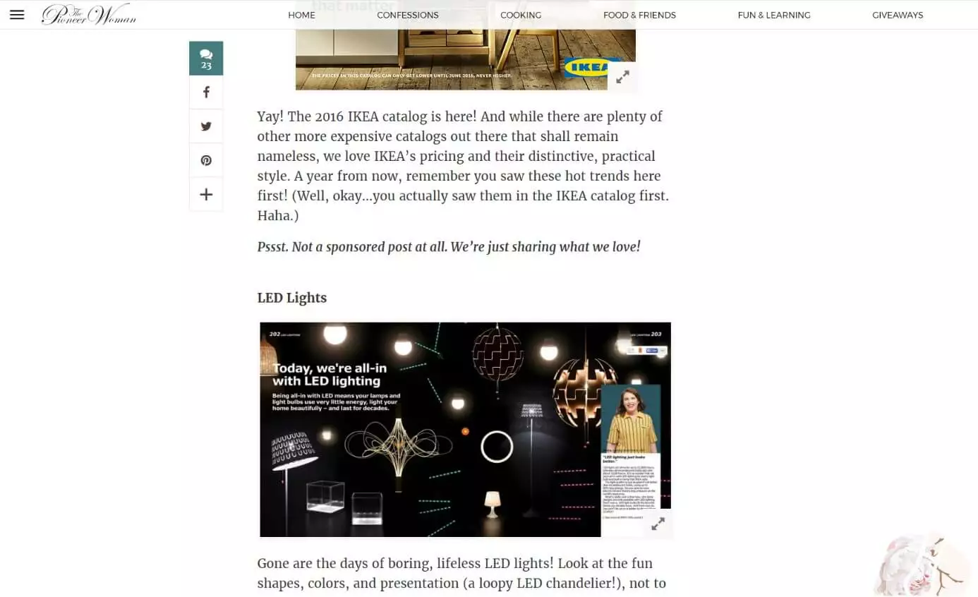 Image: Screenshot of a non-sponsored product review on the blog “The Pioneer Woman”