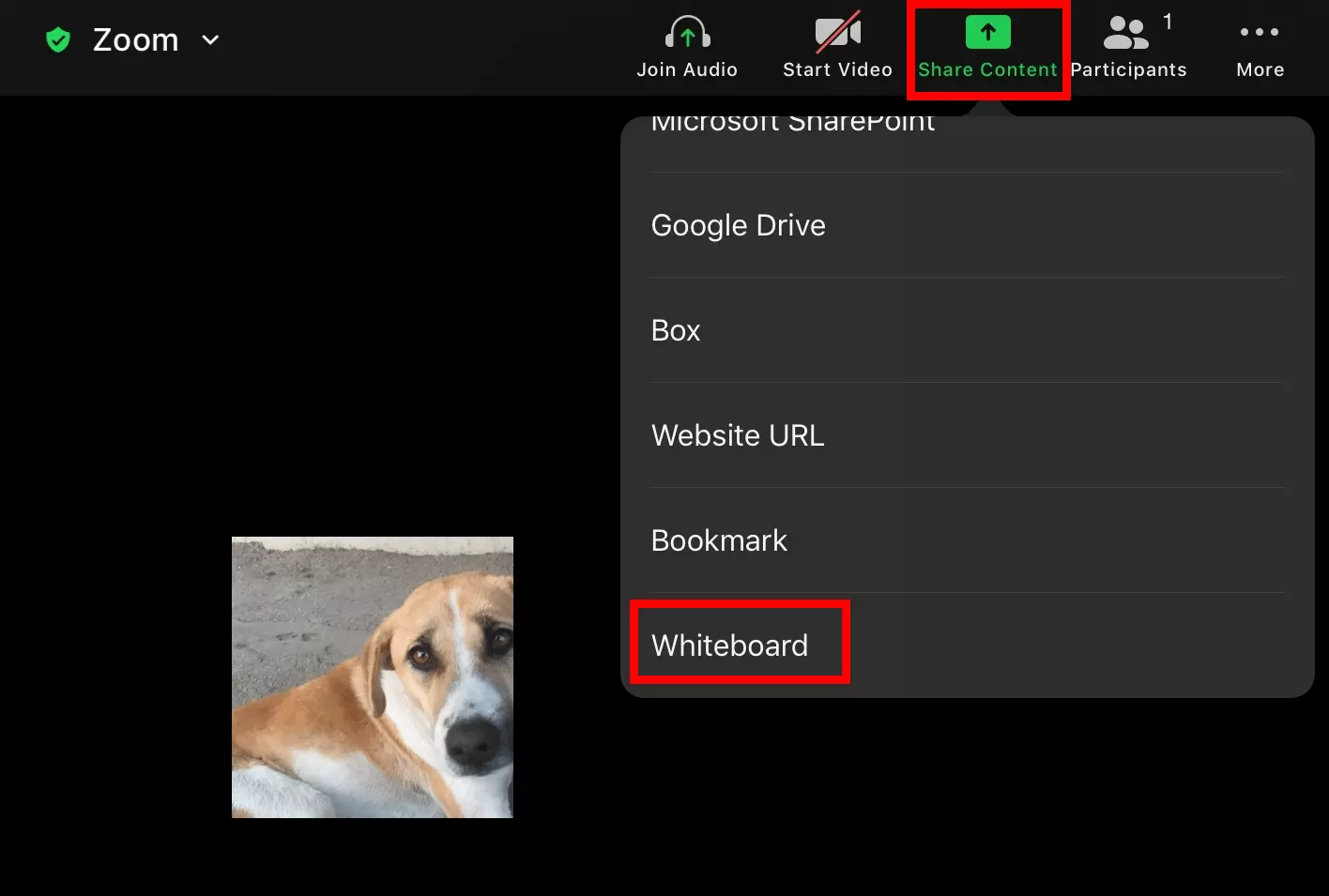 Image: Option to launch a Zoom whiteboard in the iPad app.